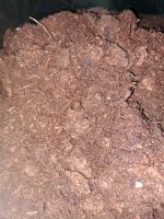 Weißtorf für Karnivoren, fein-mittel, 10 Liter 0-20mm Weißtorf für Karnivoren, fein-mittel, 10 Liter 0-20mm