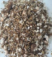 Spezialsubstrat für Pinguicula, 5 Liter Spezialsubstrat für Pinguicula, 5 Liter