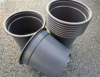 25 Stück 11cm Rundtöpfe schwarz 25 Stück 11cm Rundtöpfe schwarz